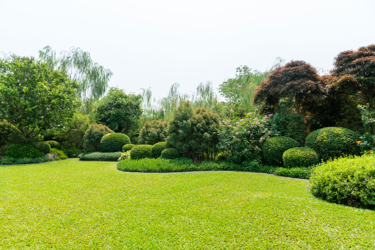 Large manicured lawn with shaped shrubs and mature trees on a commercial property